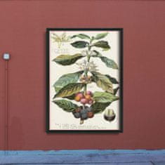 Vintage Posteria Poszter Kávé arabica konyhai nyomtatás A4 - 21x29,7 cm
