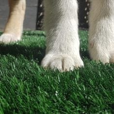 Fűszerű kutya szőnyeg - Doggo
