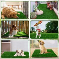 Cool Mango Fűszerű kutya szőnyeg - Doggo