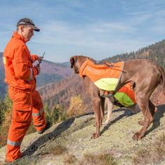 Dogtrace Védőmellény kutyának DOG GPS, XL