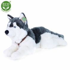 Rappa Plüss husky kutya nyakörvvel fekvő 60 cm ECO-FRIENDLY