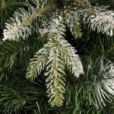 Aga Karácsonyfa Hosszútűs alpi fenyő 150 cm