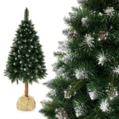 Aga Karácsonyfa törzzsel 120 cm