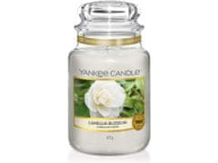 Yankee Candle Classic illatgyertya üvegben Camellia Blossom 623 g