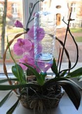 BigBuy 5 db-os vízadagoló kehely készlet növényekhez, virágokhoz - kül-, és beltérre, zöld (BB-1849)