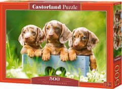 Castorland Puzzle Aranyos tacskók 500 darabos puzzle