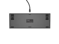 Genesis Gaming mechanikus billentyűzet THOR 404/RGB/Khail Box Brown/vezetékes USB/US elrendezés/fekete