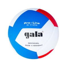 Gala Labda röplabda PRO LINE 10 BV5125S