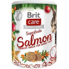 Brit Care Cat Snack Karácsonyi szupergyümölcsök 100 g