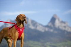 curli Hám kutyáknak Belka Red L, 25-35 kg, piros L