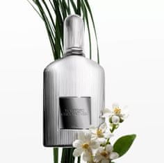 Tom Ford Gray Vetiver - parfüm 100 ml
