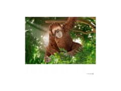 sarcia.eu Schleich Wild Life - Női orangután, figura gyerekeknek 3+