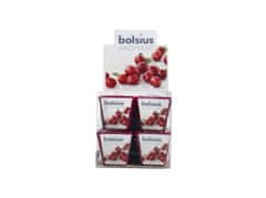 Bolsius Aromatic Votiv 48mm Wild Cranberry illatgyertyák