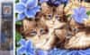 Gyémánt festmény Három cica virágban 30x40cm