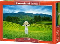 Castorland Puzzle Rizsföldek Vietnamban 1000 db