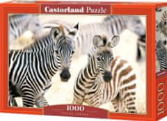 Castorland Rejtvény Fiatal zebrák 1000 db