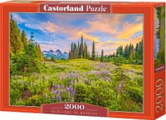 Castorland Puzzle Reggeli virágok 2000 db
