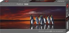 Heye Panoráma puzzle Királyi pingvinek 1000 db