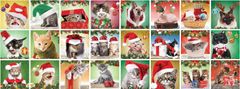 EuroGraphics Puzzle adventi naptár: karácsonyi macskák 24x50 darab