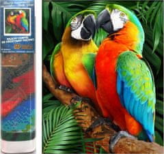 Norimpex Diamond festmény színes papagájok 30x40cm