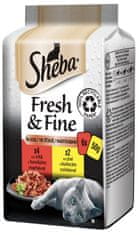 Sheba Fresh & Fine alutasakok macskáknak, exkluzív keverék mártásban 72x50 g