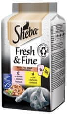 Sheba Fresh & Fine alutasakok macskáknak, kiválasztott mix, mártásban 72x50 g