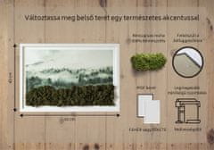 tulup.hu Élő moha kép Erdő a ködben Fehér MDF keret 63x43 cm