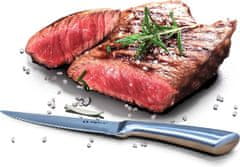 Alpina Steak kés fadobozban 4 db-os készletED-247384