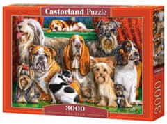 Castorland Puzzle Dog Club 3000 darab
