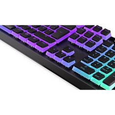 Endorfy keyboard EY5D023 - black (EY5D023)