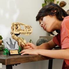 LEGO Jurassic World 76964 Dinoszaurusz fosszíliák: T-rex koponya
