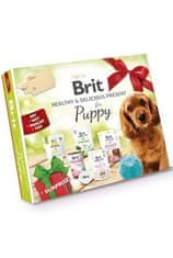 Brit Care Box Dog Puppy Egészséges és finom 2023