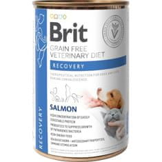Brit Veterinary Diets Dog + Cat cons. Recovery 400g