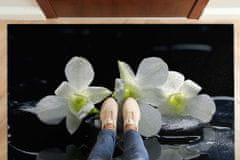 tulup.hu Egyedi lábtörlő Orchideák 150x100 cm