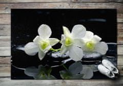 tulup.hu Egyedi lábtörlő Orchideák 150x100 cm