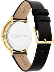 Calvin Klein Timeless Automatic 25200123