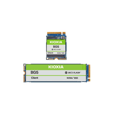KIOXIA SSD 256GB BG5 Series M.2 (2280) PCIe4.0 x4 NVMe (KBG50ZNV256G)