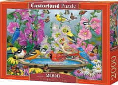 Castorland Puzzle A természet ritmusa 2000 darab