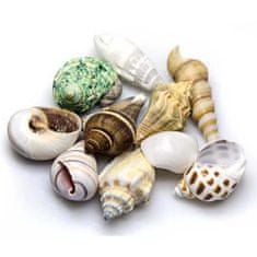 HOBBY aquaristic HOBBY Sea Shells Set M 10db - dekoráció akváriumba