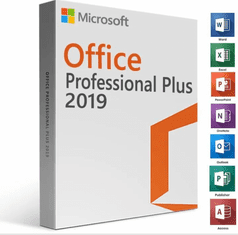 Microsoft Microsoft Office Pro Plus 2019 79P-05729