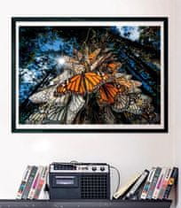 Clementoni National Geographic Puzzle: Monarch pillangók milliói utaznak telelőhelyekre Mexikóban 1000 darab