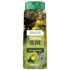 Gallus sampon 500 ml olíva (12)