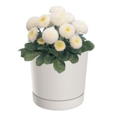 botle Kerek virágcserép talppal Ø10,8 cm matt fehér színben
