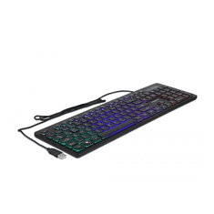 DELOCK USB Tastatur kabelgebunden 1,5 m schwarz mit RGB (12625)