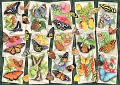 Ravensburger Rejtvény Trópusi pillangók 1000 db