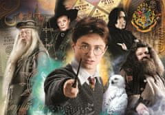 Clementoni Rejtvény Harry Potter: Tanárok 1000 darab