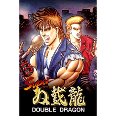 ARC System Works Super Double Dragon (PC - Steam elektronikus játék licensz)