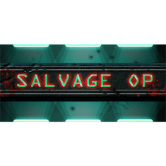 DWS Salvage Op (PC - Steam elektronikus játék licensz)
