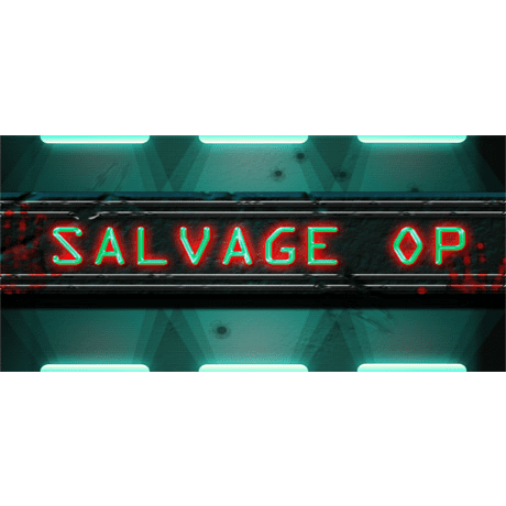 DWS Salvage Op (PC - Steam elektronikus játék licensz)