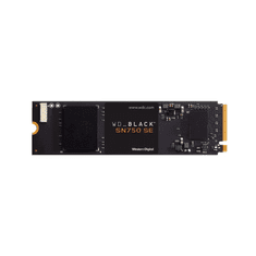 WD Black SN750 SE 1TB M.2 PCIe (WDS100T1B0E)
